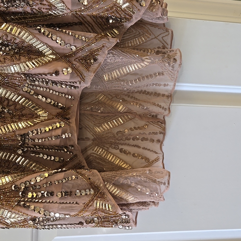 Joanna Hope Gold & Brown Embellished Sequence  High Low Maxi Formal Dress - Picture 4 of 6